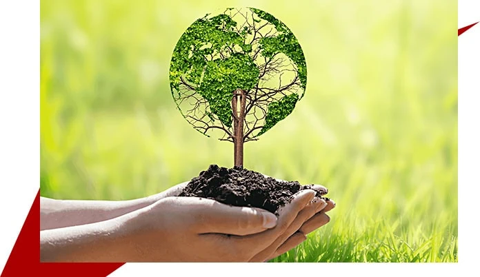 Where would you use Novec 1230 or FK-5-1-12?