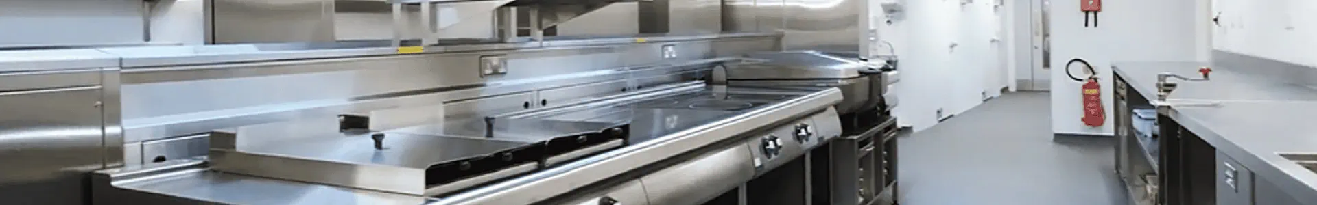 Kitchen Fire Suppression Systems